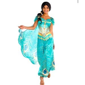 Women's Disney Aladdin Princess Jasmine Halloween Costume, Adult Large 10-12